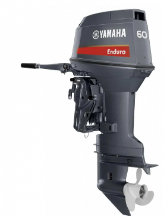 Лодочный мотор YAMAHA E60HMHDL в Октябрьском
