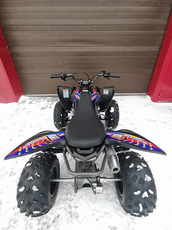 Квадроцикл PROMAX RAPTOR 300 NEW RedBull в Октябрьском