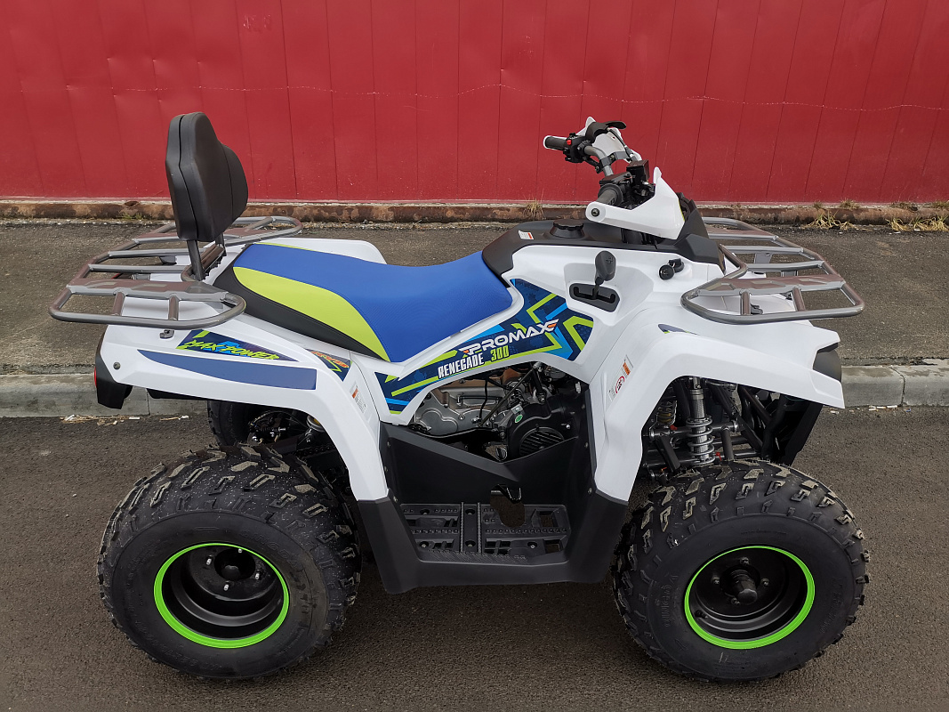 Квадроцикл PROMAX RENEGADE 280 LUX (2025) в Октябрьском