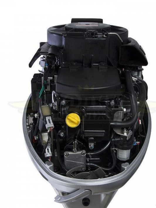 Лодочный мотор SEANOVO SNEF30FEL-EFI в Октябрьском