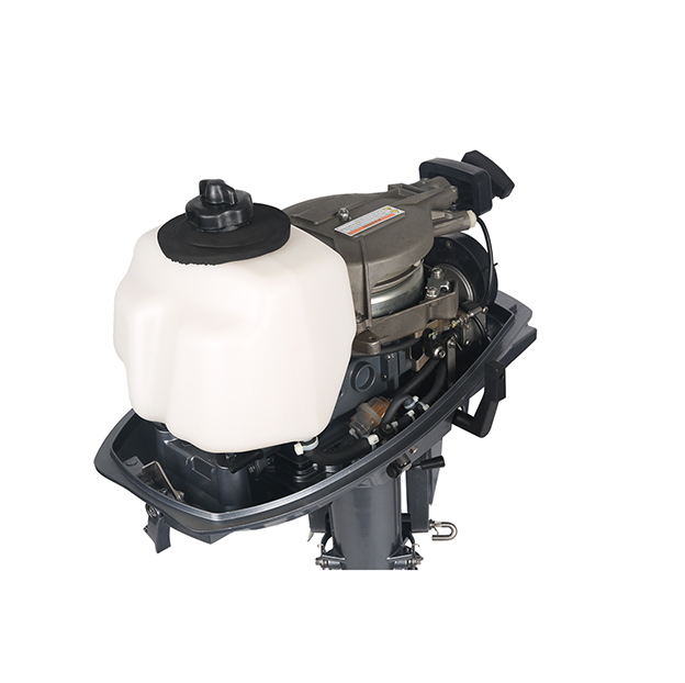 ЛОДОЧНЫЙ МОТОР ALLFA CG T5 в Октябрьском