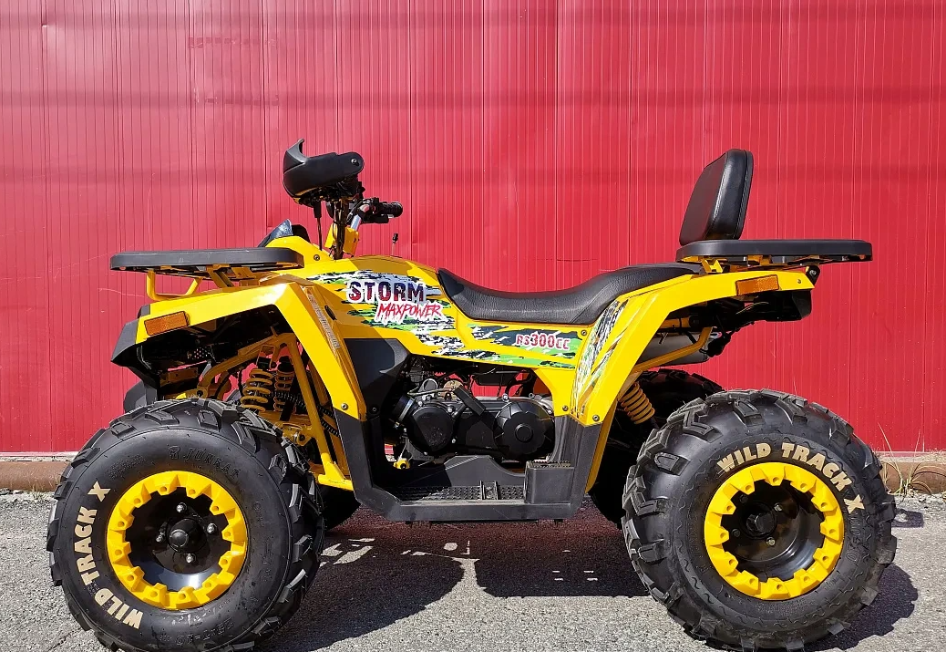 Квадроцикл PROMAX STORM 280 LUX в Октябрьском