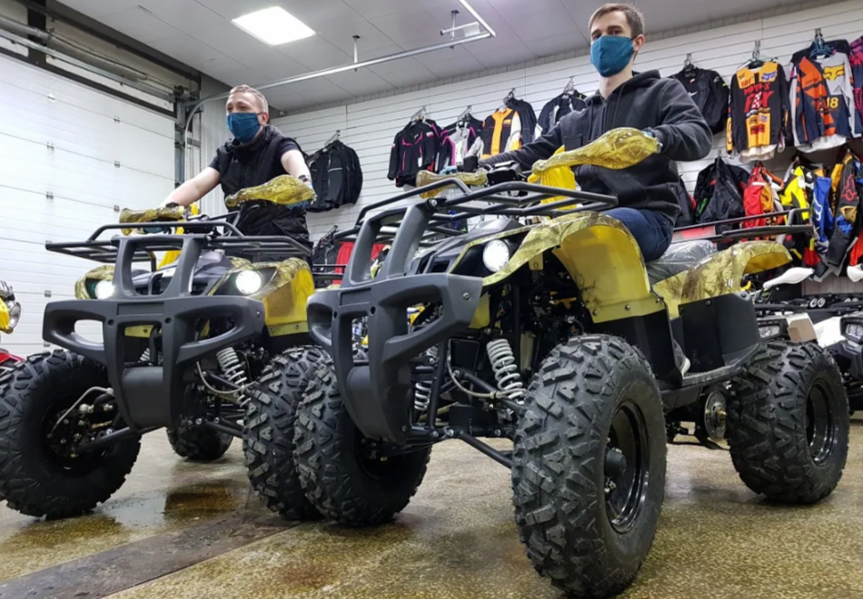 Квадроцикл PROMAX ATV 250 (2025) в Октябрьском