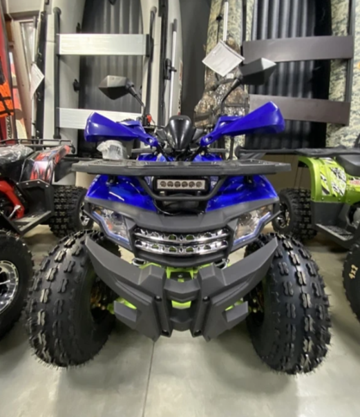 Квадроцикл PROMAX WILD 2.0 190 PRO (2025) в Октябрьском