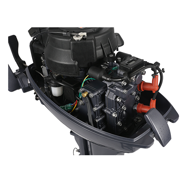 ЛОДОЧНЫЙ МОТОР ALLFA CG Т9,9 Limit в Октябрьском