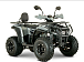 Квадроцикл YACOTA DRAGON LUX LD 150 PRO-SPORT в Октябрьском