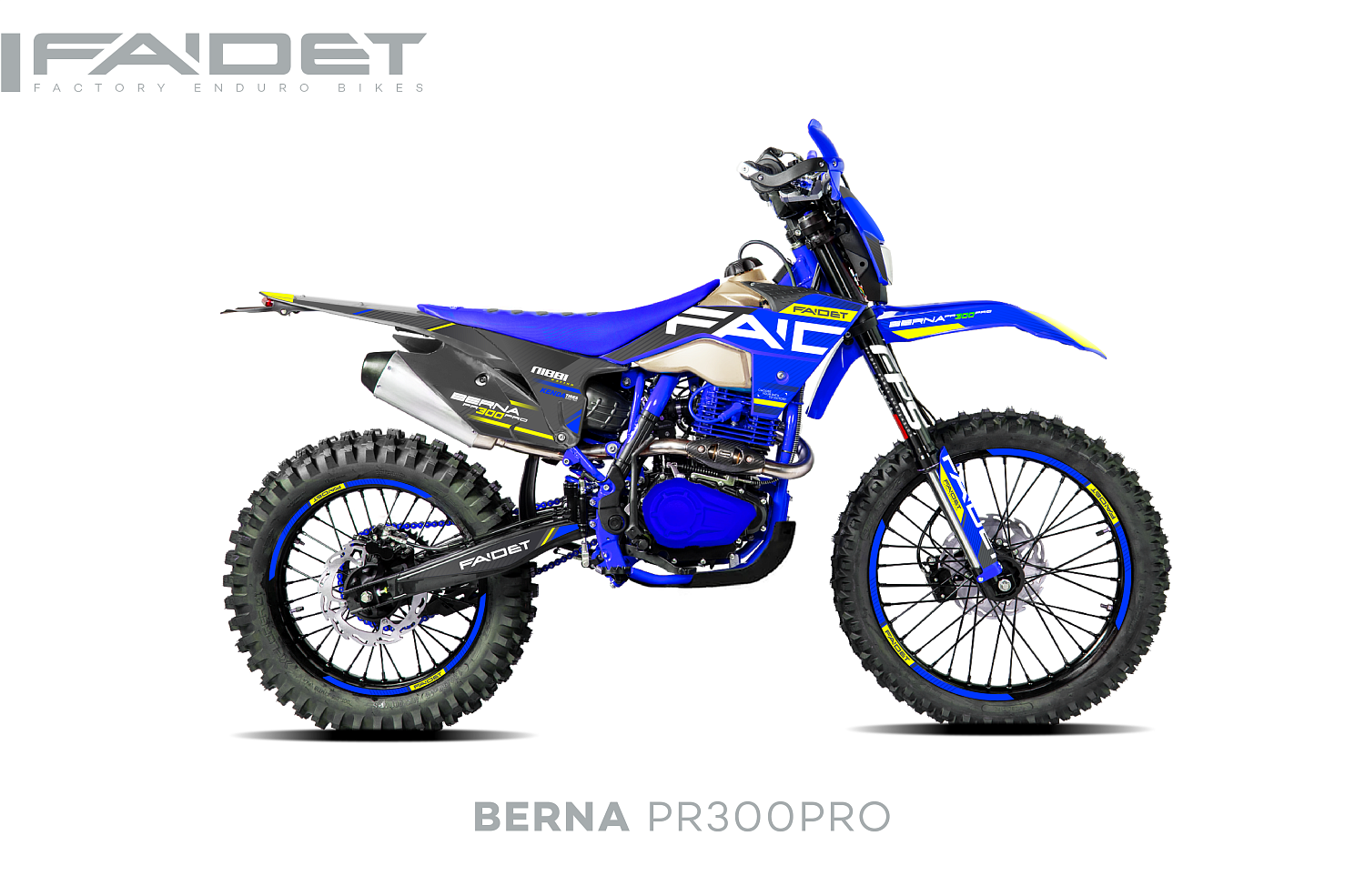 Кроссовый мотоцикл FAIDET BERNA PR300-PRO FPS в Октябрьском