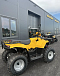 КВАДРОЦИКЛ IRBIS ATV 250  в Октябрьском