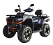 Квадроцикл MOTOLAND (МОТОЛЕНД) 300 MAX X в Октябрьском