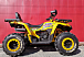 Квадроцикл PROMAX STORM 280 LUX в Октябрьском