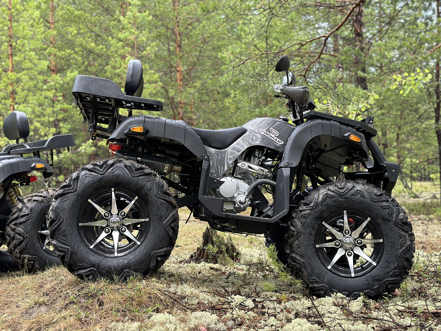 Квадроцикл PROMAX 320 DOMINATOR PRO (2025) в Октябрьском