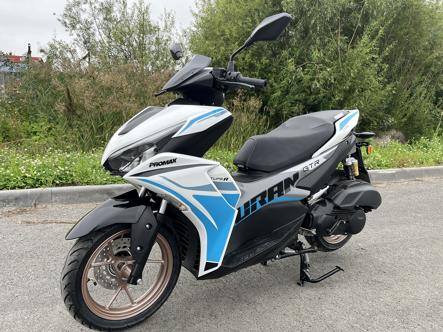 Скутер PROMAX TURAN 250 (49) в Октябрьском