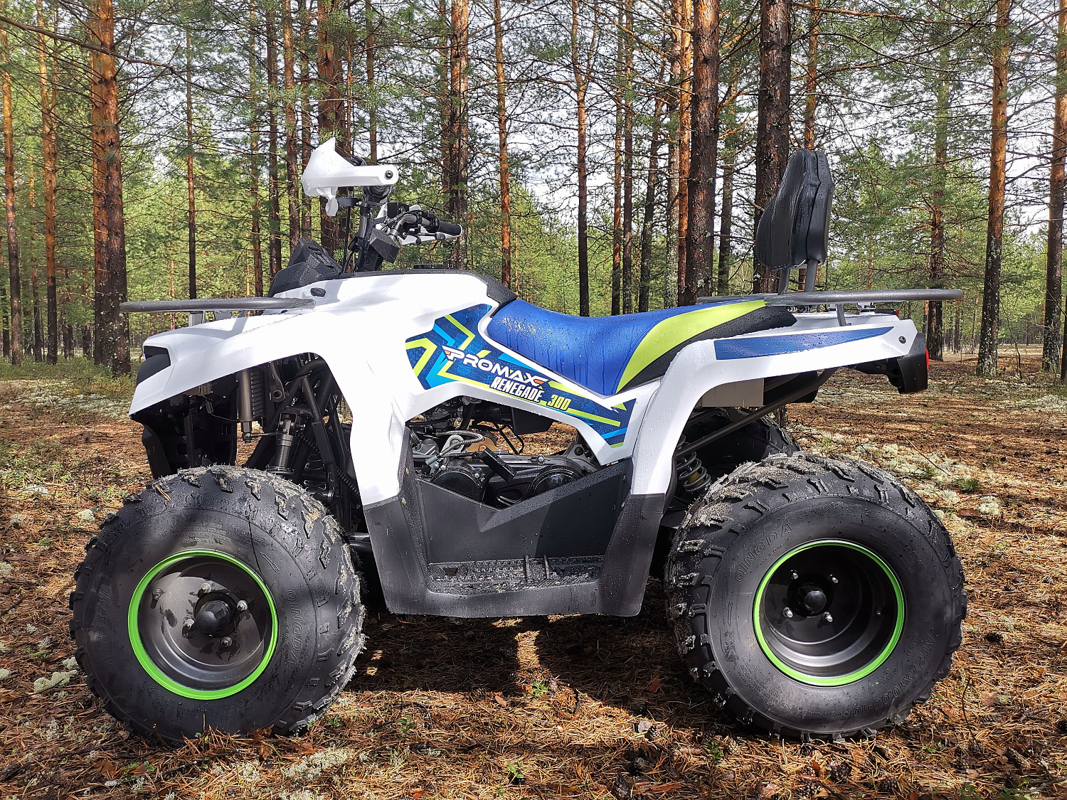 Квадроцикл PROMAX RENEGADE 280 (2025) в Октябрьском