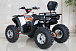 Квадроцикл GBM STORMRIDER 320 PREMIUM в Октябрьском