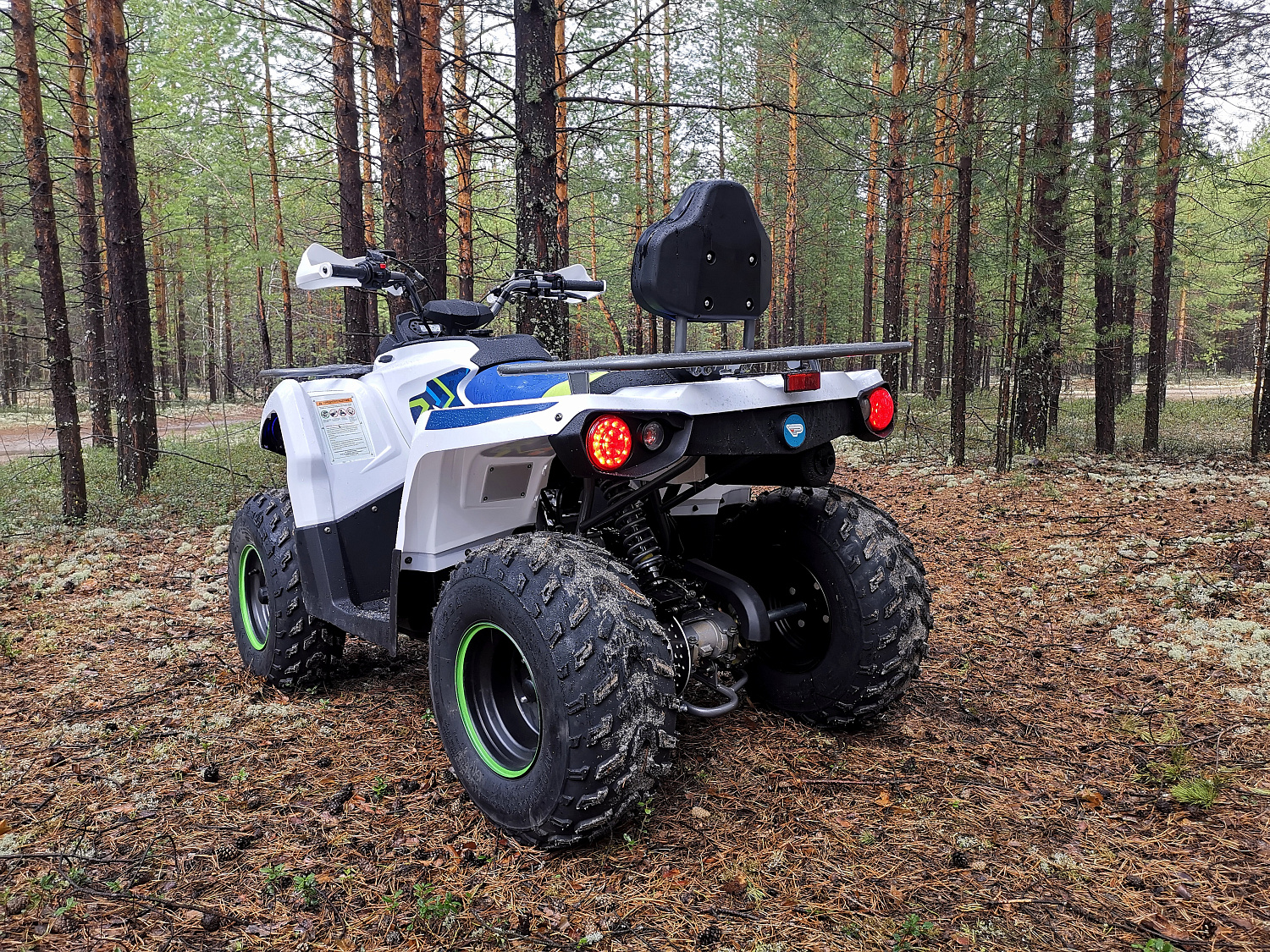 Квадроцикл PROMAX RENEGADE 280 (2025) в Октябрьском
