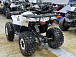 Квадроцикл PROMAX WILD 2.0 190 LUX в Октябрьском