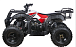 Квадроцикл YACOTA SELA 200 в Октябрьском
