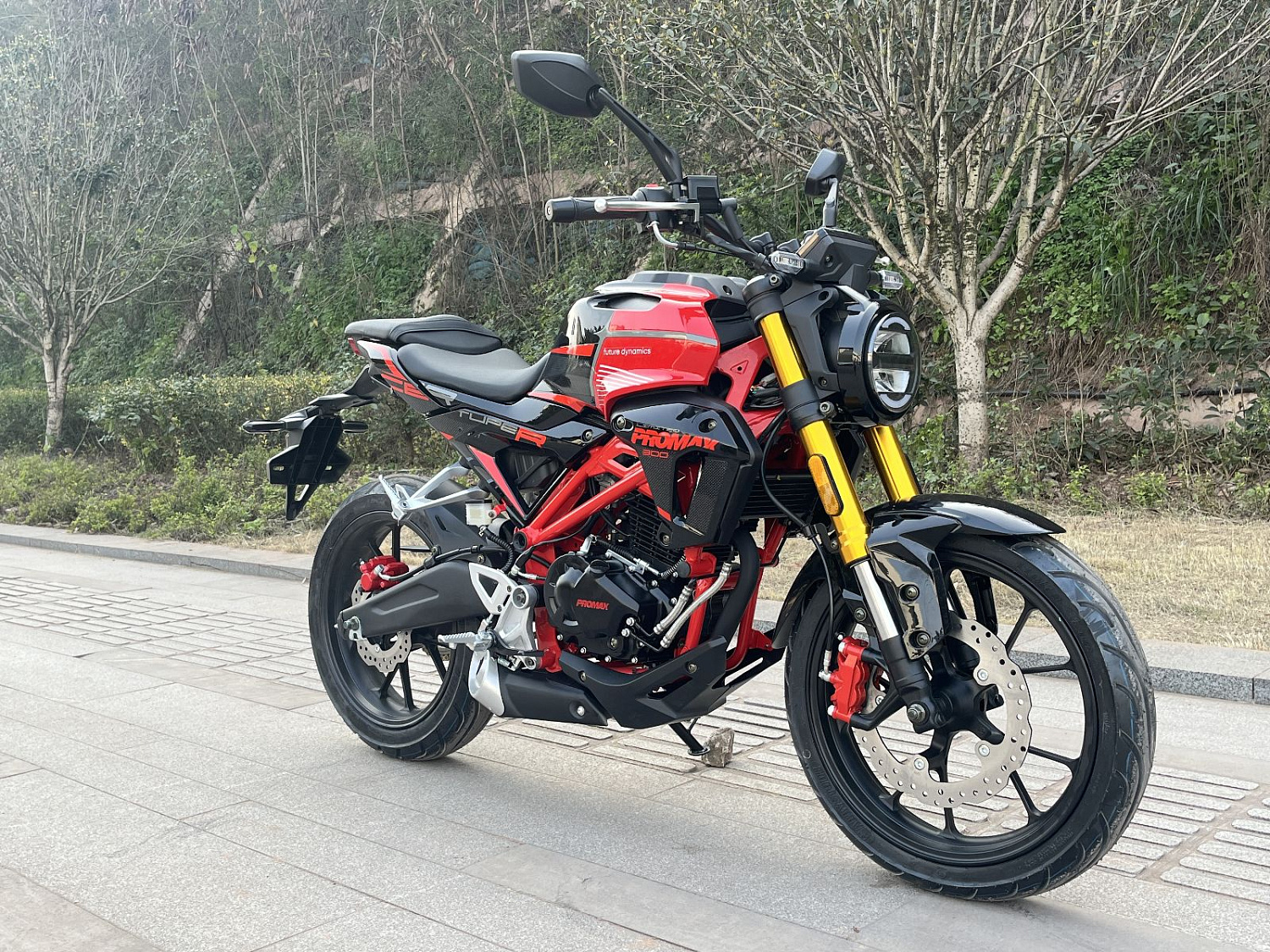 Мотоцикл PROMAX CB300RL (4V, 6G) в Октябрьском