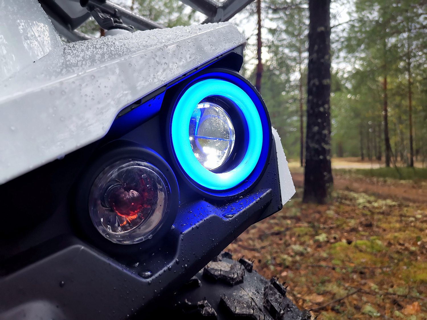 Квадроцикл PROMAX RENEGADE 280 (2025) в Октябрьском