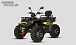 Квадроцикл PROMAX TAURUS 300 MAX-PRO LONG в Октябрьском